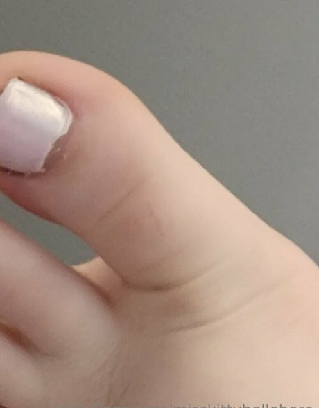 misskittyhellebore beautiful star archive