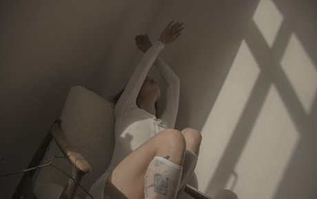 disimaria art star image