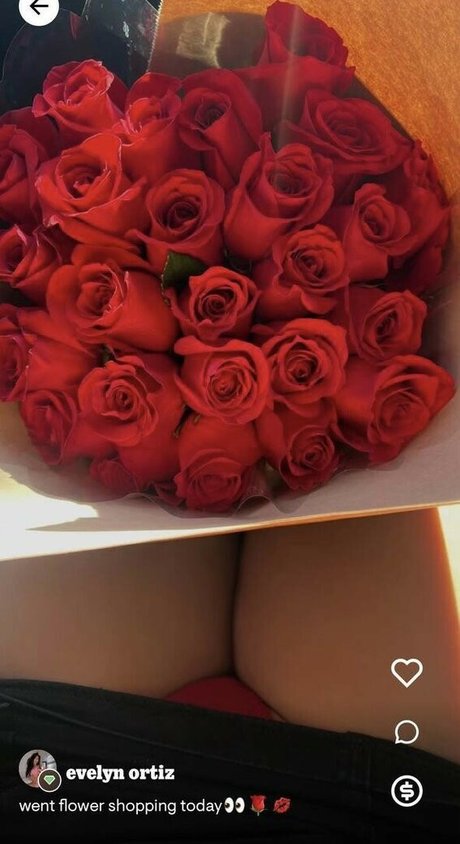 Evelyn Ortiz pornographic model pictures