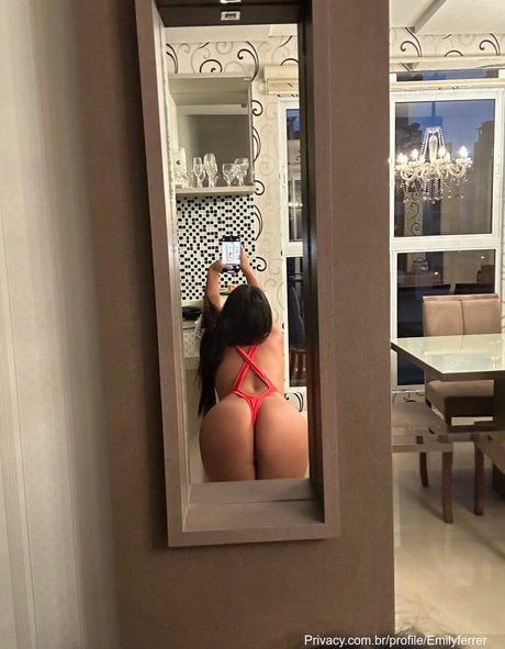 Emily Ferrer star art image