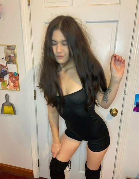 snow love star free gallery