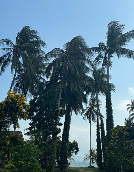 iamvirtuallady star nice photo