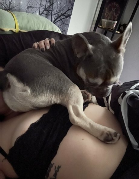 horrorwh0re top pornstar image