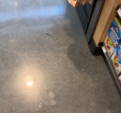 Gianna Dior pornstar sex pics