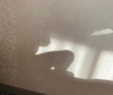 Dakota Blushing naked model images