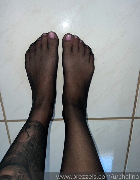 Chalina l perfect pornstar image