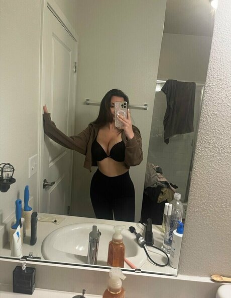 Veronicastar star nice pic