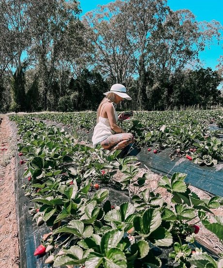 Billie Loves xxx pornstar image