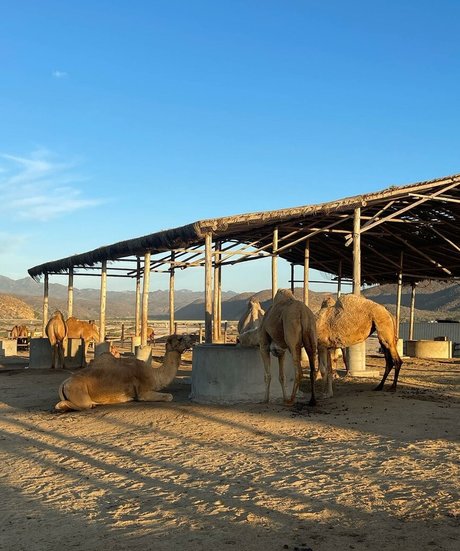 perfect onlyfans exclusive photo