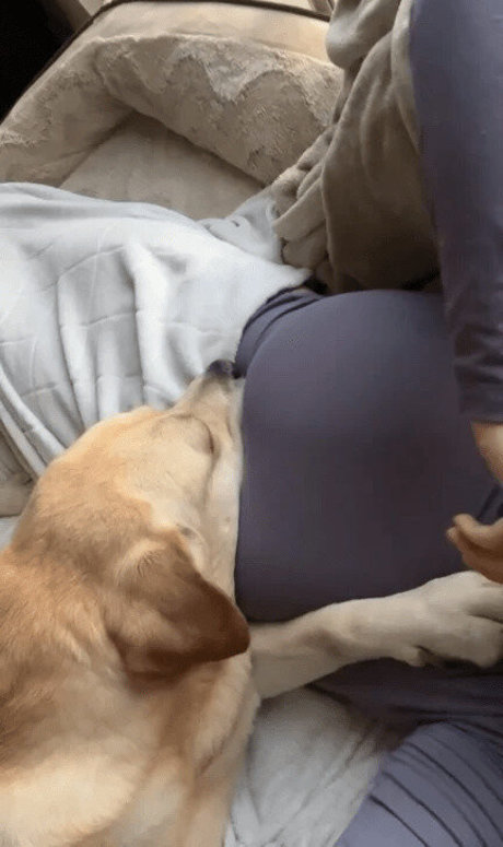 BustyMor N pornstar naked image