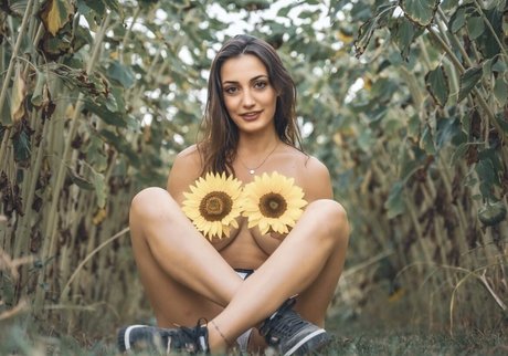 Bambizilla model archive