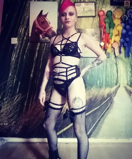 dinkytoy free pornstar image