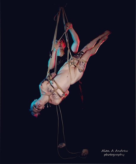 dinkytoy star porn pic