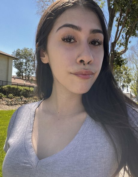 Alldaypariss star top image