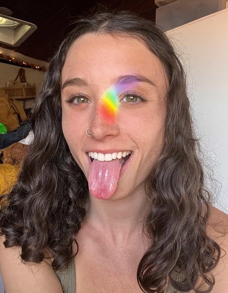 forest fox star hd pic