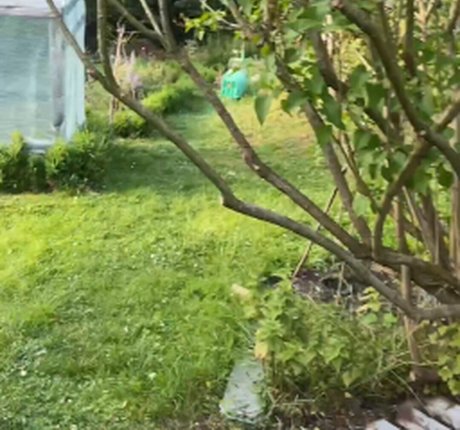 Sexmeat nude actress gallery