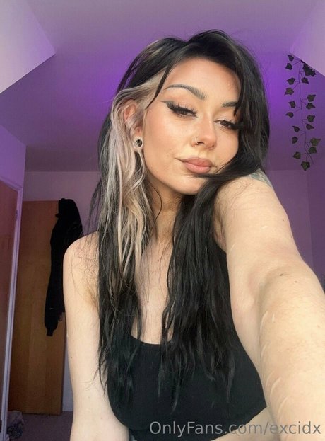 Excidx Quick model image