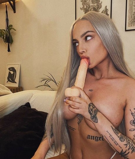 Lenkajzv star high quality gallery