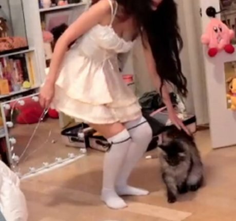 Emiru star high quality photo