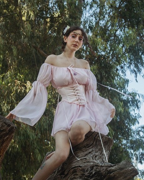 Nico Aroy pornographic star gallery