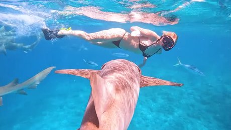 Manyazzzz nice star picture