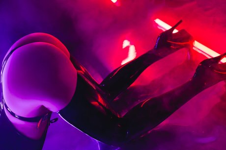 Ciwcia perfect star images