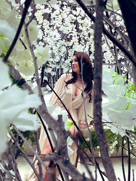 asian solo onlyfans exclusive archive