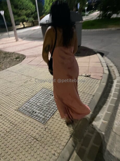 Freepetitebrida Quick model image