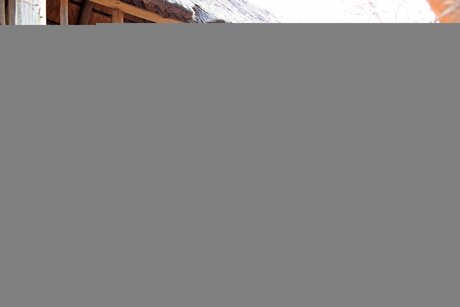 Nonnie 40dd pornstar top pictures