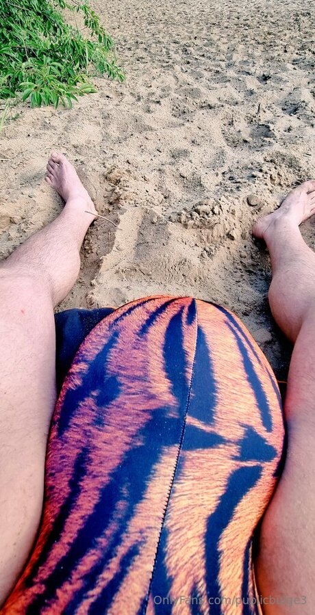 Publicbulge3 top star img