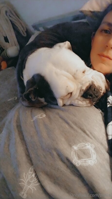 Piella exclusive model galleries