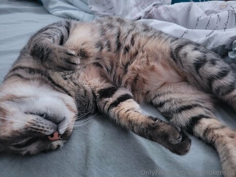 Daisanokensha model nudes picture