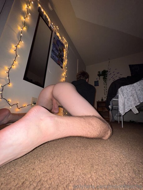 Moonbeachs free star gallery