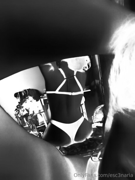 Esc3naria star porn picture