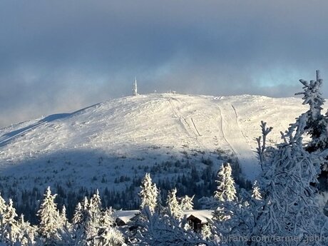 big tits squirt onlyfans exclusive img