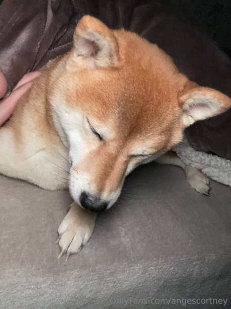 Angescortney star hd galleries