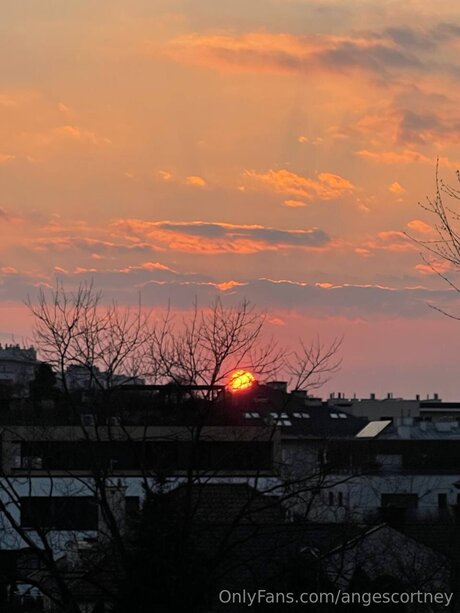 Angescortney Quick model image