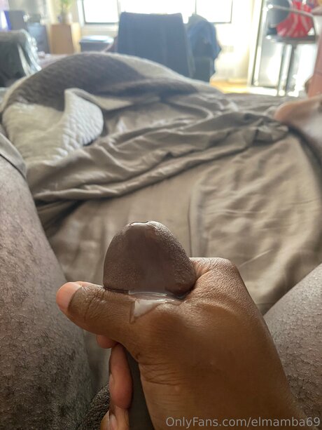 Elmamba69 erotic pornstar img