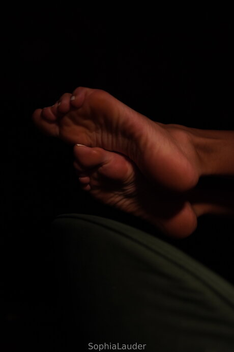 Sophia Es hd star archive