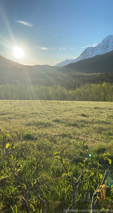 Seward Streamz pretty star archive