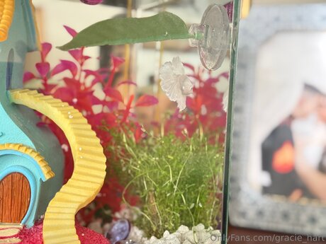 Gracie Hart nice actress picture