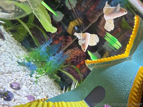 Gracie Hart model hd pictures