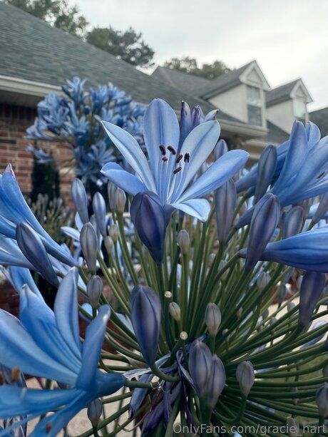 Gracie Hart art actress galleries