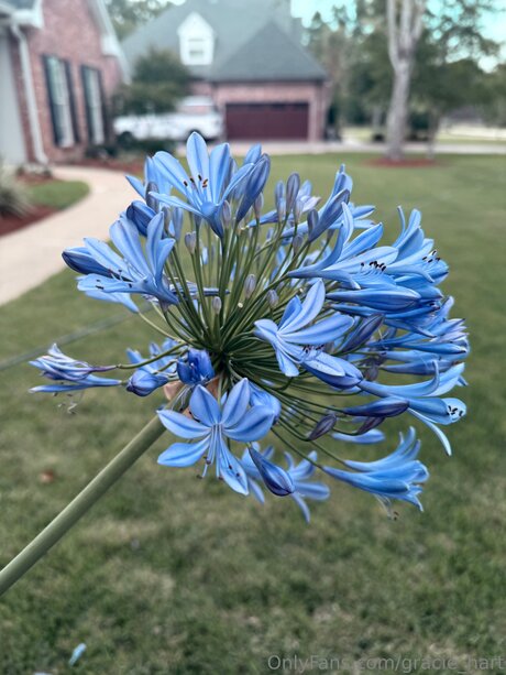 Gracie Hart model pornographic photos