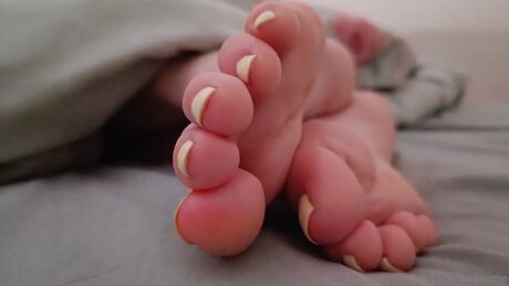 Tally Awesome free model image