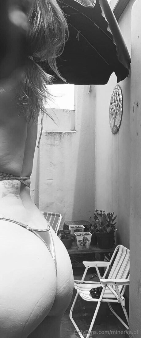 Minerva Of high quality star pics