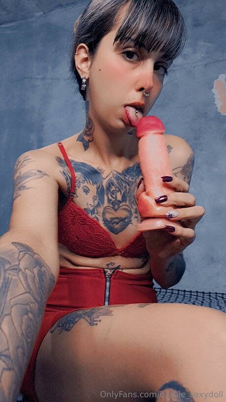 Barbie Sexydoll perfect star pic