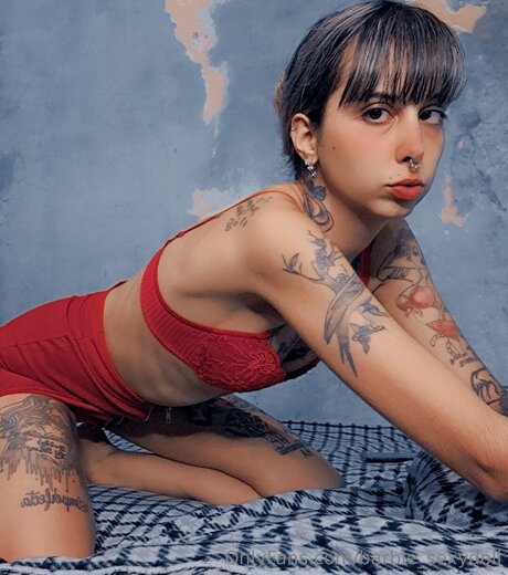 Barbie Sexydoll art star photo