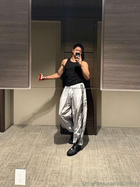 Elimintz model top photo