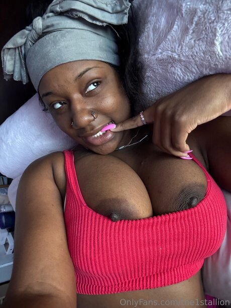 The1stallion exclusive star archive